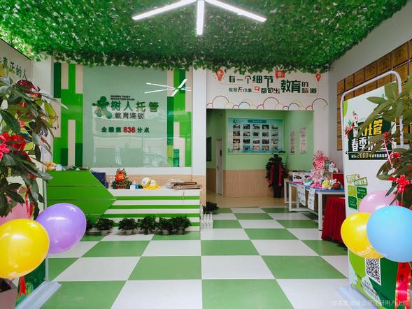 天星阁教育咨询 点亮学业与职业发展的明灯